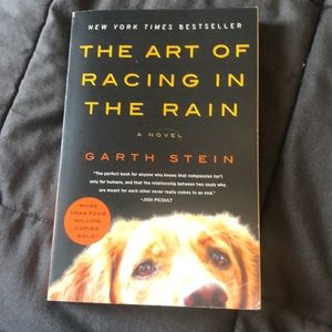 “The Art of Racing in the Rain” by Garth Stein